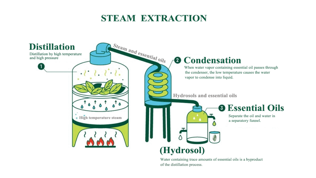 Steam distillation