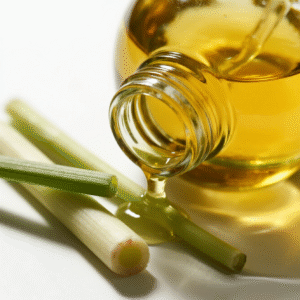 Where buy citronella oil​